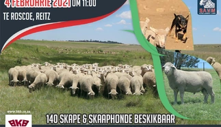 fanie-strydom-roscoe-klipkop-savm-stoet-4-feb-2021-correx-padbord-800mm-x-600mm-large.jpg.webp
