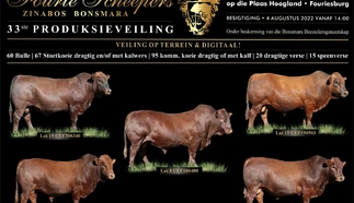 fourie-scheepers-zinabos-bonsmaras-5-aug-2022-a3-gevoude-pamflet.jpg_1-large.jpg.webp
