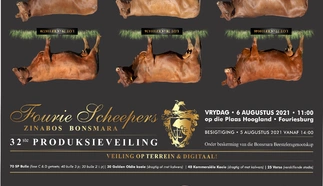 fourie-scheepers-zinabos-bonsmaras-augutus-2021-a3-gevoude-pamflet-1.jpg_buiteblad-print-1.jpg.webp