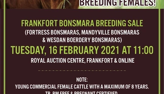 frankfort-bonsmara-aanteelveiling-16-feb-2021-wa-adv_english-custom-1.jpg.webp