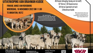 frikkie-janse-van-rensburg-16-nov-2022-a4-enkel-pamflet-custom.jpg.webp