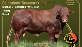 geldenhuys-bonsmaras-a3-gevou-na-a4-1-aug-2023_rev.jpg_voorblad-custom.jpg.webp