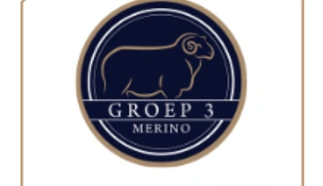 groep-3.png.webp