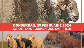 heuningkrans-2024-afr.jpg.webp