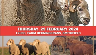 heuningkrans-2024-eng.jpg.webp