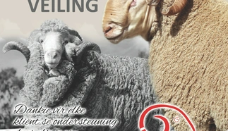 heuningkrans-bkb-2022.jpg.webp