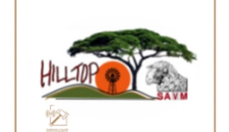 hiltop-savm.png.webp