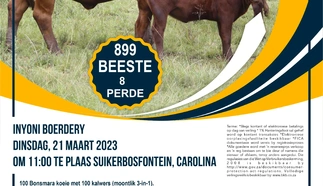 inyoni-boerdery-a4-beide-pamflet-21-maart-2023.jpg_voorkant-custom.jpg.webp