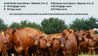 jaco-maritz-boerdery-9-februarie-2023-a4-beide-pamflet.jpg_voorkant-custom.jpg.webp