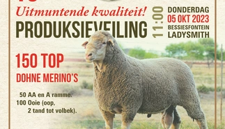 julius-beukes-5-okt-2023-a4-enkel-afr-custom-1.jpg.webp