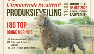 julius-beukes-6-sept-2023-a4-enkel-afr-custom-1.jpg.webp