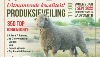julius-beukes-7-sept-2022-nampo-custom.jpg.webp