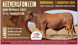 keeversfontein-brangus-agri-sales-ad-1-aug-2024-122x183mm.jpg.webp