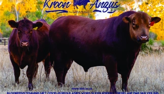 kroon-angus-7-september-2021-a4-beide-pamflet-1.jpg.webp