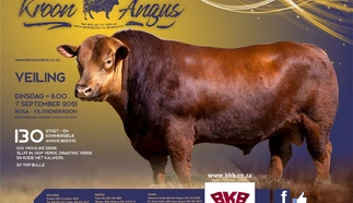 kroon-angus-7-september-2021-a4-beide-pamflet.jpg_voorblad-large.jpg.webp