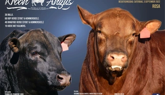 kroon-angus-a4-beide-pamflet-7-september-2022.jpg_voorblad-custom.jpg.webp