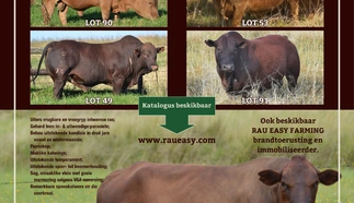langlyf-nonnie-tuli-stoet-a3-gevoude-pamflet-2-junie-2020.jpg_agterblad-custom.jpg.webp