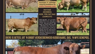 langlyf-nonnie-tuli-stoet-a4-beide-pamflet-junie-2023.jpg_agterkant-custom.jpg.webp