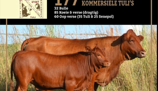langlyf-nonnie-tuli-stoet-a4-voorloper-7-junie-2022.jpg_rooi-custom.jpg.webp
