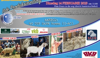 lavie-savm-stoet-pamflet.jpg.webp