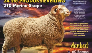 majobe-merinos-12-feb-2020-a4-enkal-pamflet-custom.jpg.webp