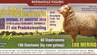 majobe-merinos-21-augustus-2018-lbw-derdeblad-large.jpg.webp