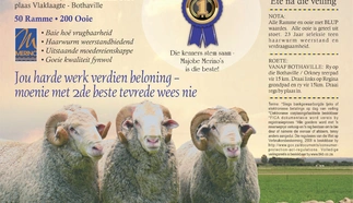 majobe-merinos-a4-enkel-pamflet-10-februarie-2021-custom.jpg.webp