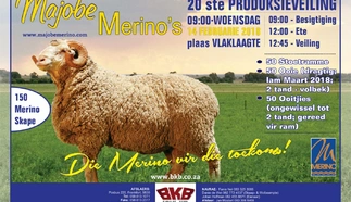 majobe-merinos-a4-volkleur-beide-kante-dinsdag-14-februarie-2018_voorkant-custom.jpg.webp