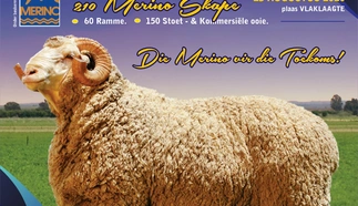 majobe-merinos-a4-volkleur-beide-kante-dinsdag-20-augustus-2019-voorblad-custom.jpg.webp