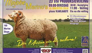 majobe-merinos-a4-volkleur-beide-kante-dinsdag-20-augustus-2019.jpg_voorkant-custom.jpg.webp