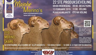 majobe-merinos-a4-volkleur-enkel-woensdag13-februarie-2019-large.jpg.webp