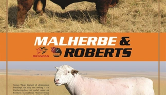 malherbe-roberts-28-sept-2022-finaal-agterblad-custom.jpg.webp