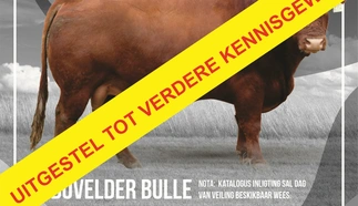 mandy-farms-21-september-2022-a4-enkel-pamflet-uitgestel-custom.jpg.webp