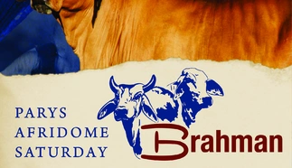 nasionale-brahman-veiling-11-sept-2021-save-the-date-vir-wa.jpg.webp