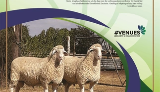 nasionale-merino-landskaap-17-aug-2022-pamflet-custom-1.jpg.webp