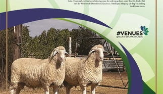 nasionale-merino-landskaap-17-aug-2022-pamflet-custom.jpg.webp