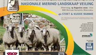 nasionale-merino-landskaap-veiling-19-augustus-2020-a4-enkel-pamflet-large.jpg.webp