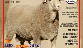 nello-dohne-merino-stoet-28-julie-2022-a4-enkel-pamflet-custom-1.jpg.webp