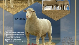 niekerksrust-a4-enkel-21-junie-2023-custom.jpg.webp