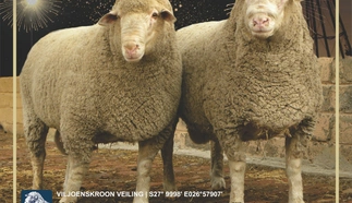 niekerksrust-savm-jan-van-biljon-2022-custom.jpg.webp