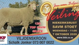 niekerksrust-savm-jan-van-biljon-7-oktober-2020-correx-padbord-2500-mm-x-1250-mm-large.jpg.webp