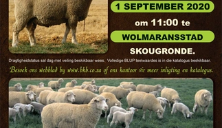 noordwes-savm-1-september-2020-a4-enkel-pamflet-custom.jpg.webp