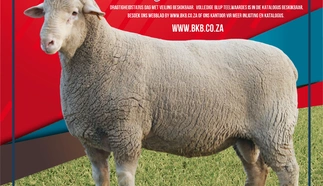 noordwes-savm-klubveiling-6-sept-2022-a4-enkel.jpg.webp
