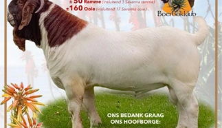 oos-kaap-boerbokklub-2023.jpeg.webp