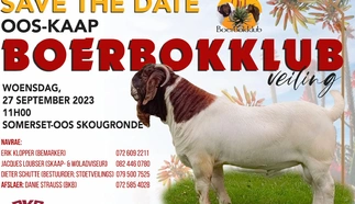 oos_kaap_boerbok_klub.jpg.webp