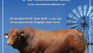 open-range-beefmasters-6-aug-2024-a4-beide-voorblad-custom.jpg.webp