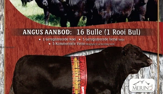 rheeboksplaat-angus-2023-a3-afr_page-0001.jpg.webp