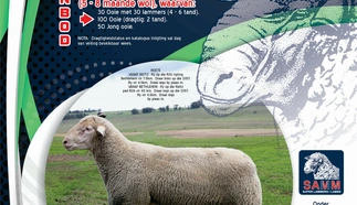 roscoe-klipoog-savm-stoet-6-feb-2020-a4-enkel-pamflet-finaal-custom-1.jpg.webp