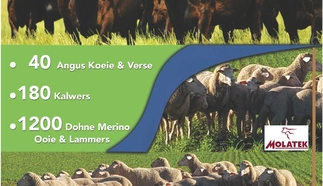 sterkwater-boerdery.jpg.webp