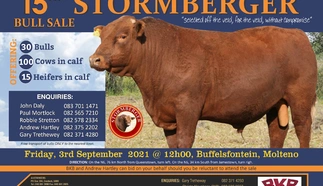 stormberger-2021-voorbeeld-2.jpg.webp
